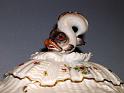 Meissen_(229)