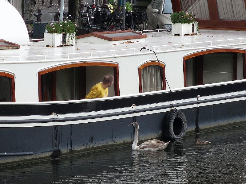 Amsterdam_(59).JPG