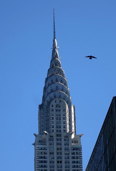NY_(111).jpg