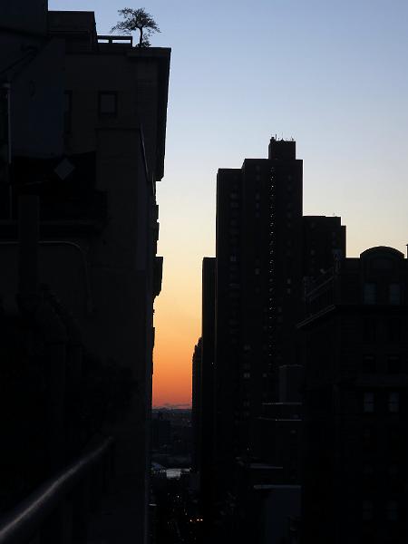 NY_(35).JPG