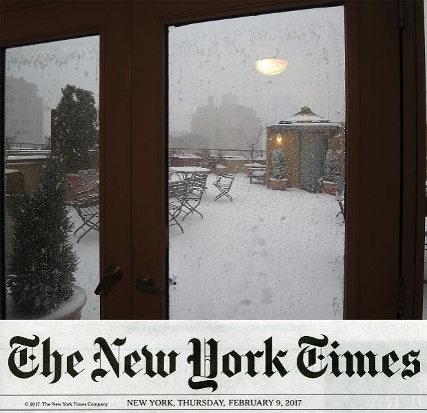 NY_(355).jpg