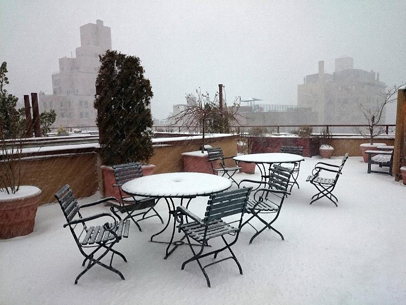NY_(356).JPG