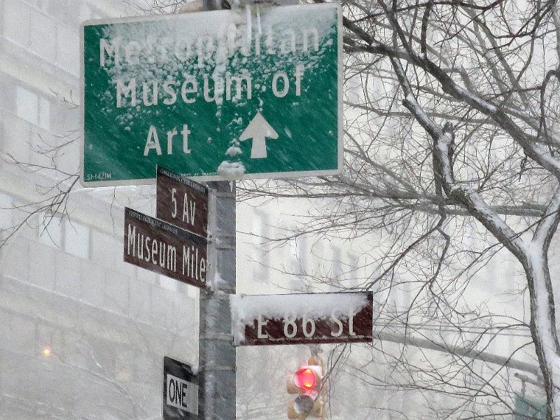 NY_(363).JPG