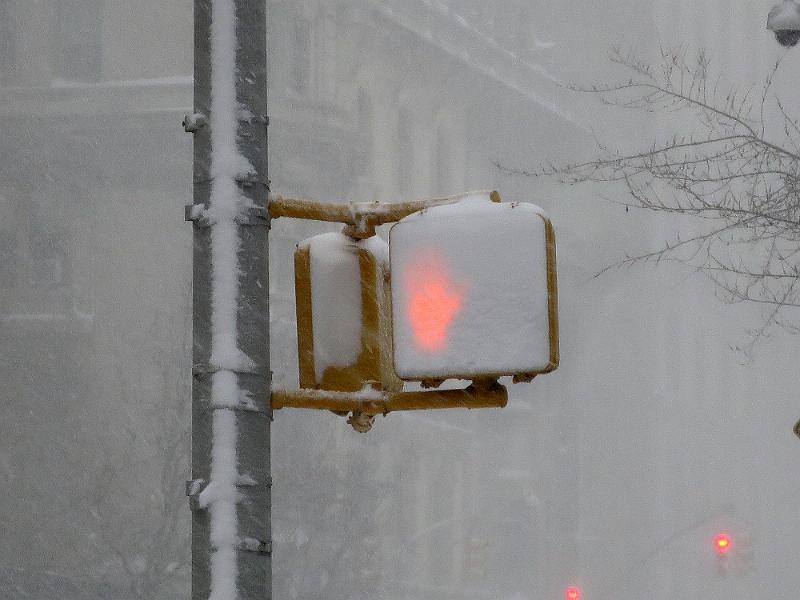 NY_(364).JPG