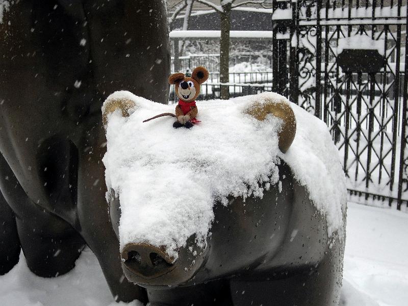 NY_(368).JPG