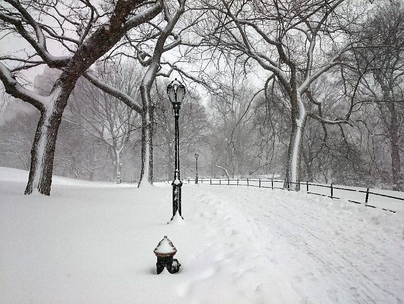 NY_(371).JPG