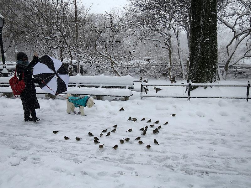 NY_(372).JPG