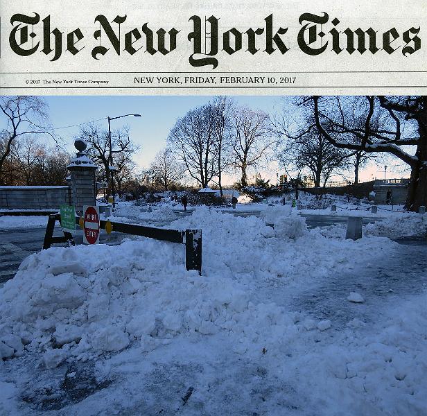 NY_(405).jpg