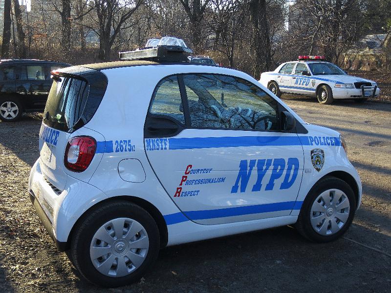 NY_(49).JPG