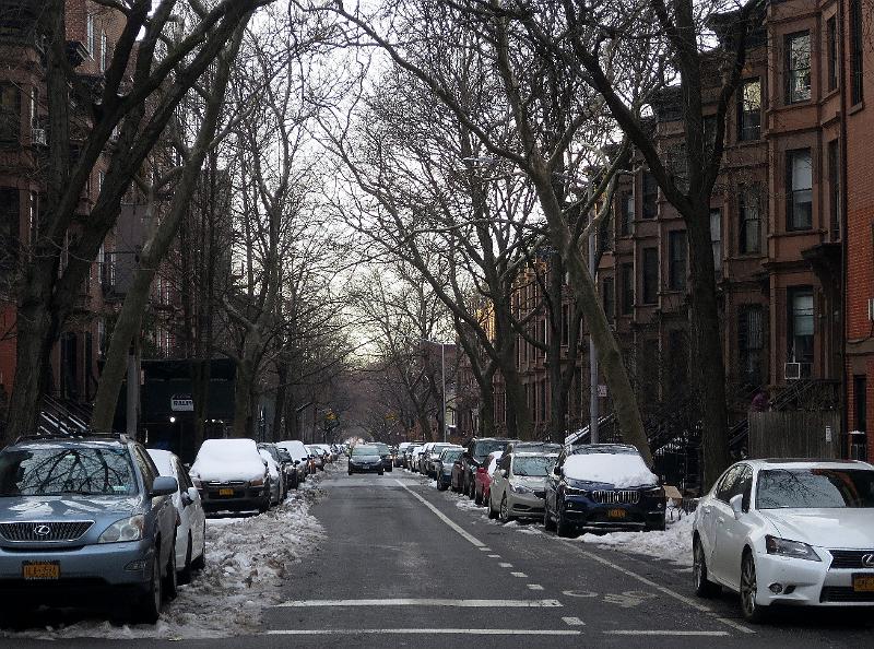 NY_(527).JPG