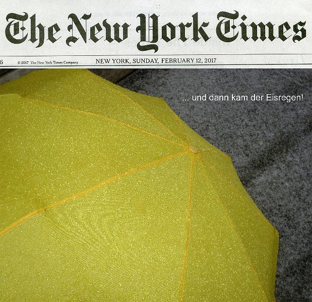 NY_(546).jpg