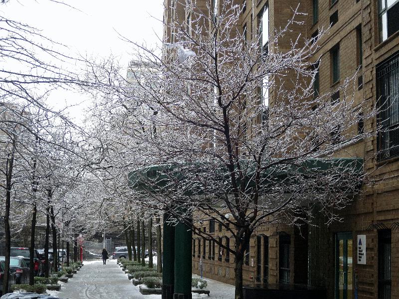 NY_(547).JPG