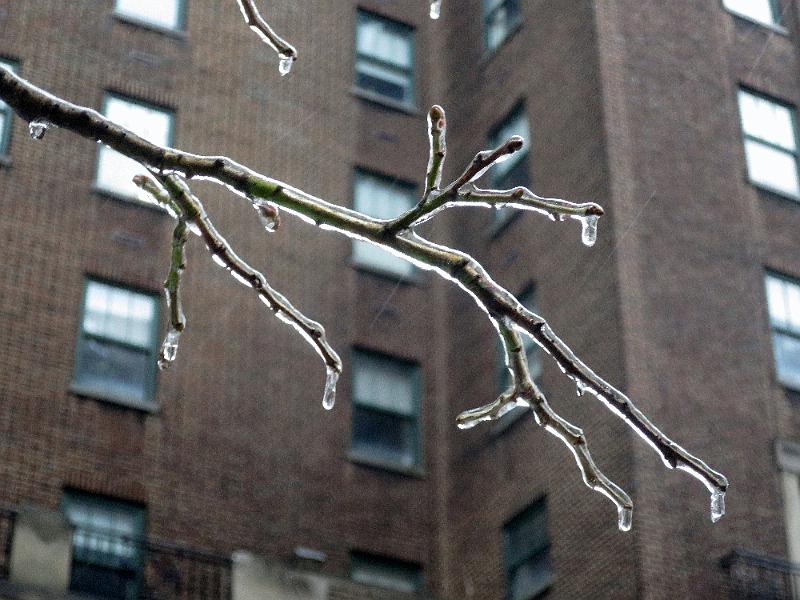 NY_(548).JPG