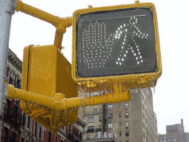 NY_(550).JPG