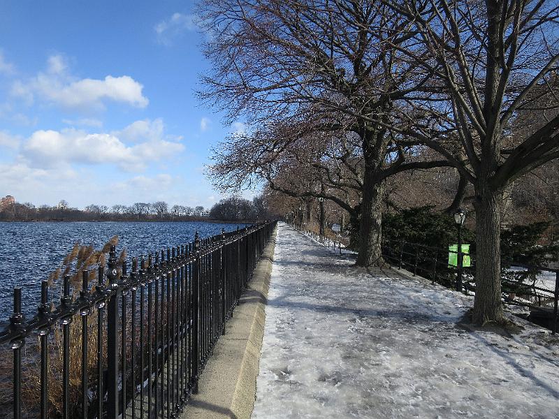 NY_(636).JPG