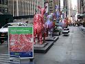 NY_(147)