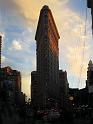 NY_(343)