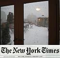 NY_(355)