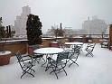 NY_(356)