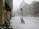NY_(359)