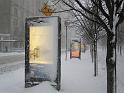 NY_(365)