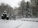 NY_(367)