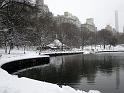 NY_(385)