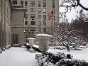NY_(391)