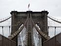 NY_(474)