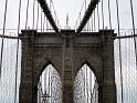 NY_(476)