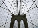 NY_(478)