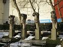 NY_(523)
