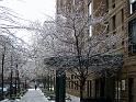 NY_(547)