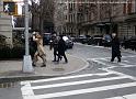 NY_(633)