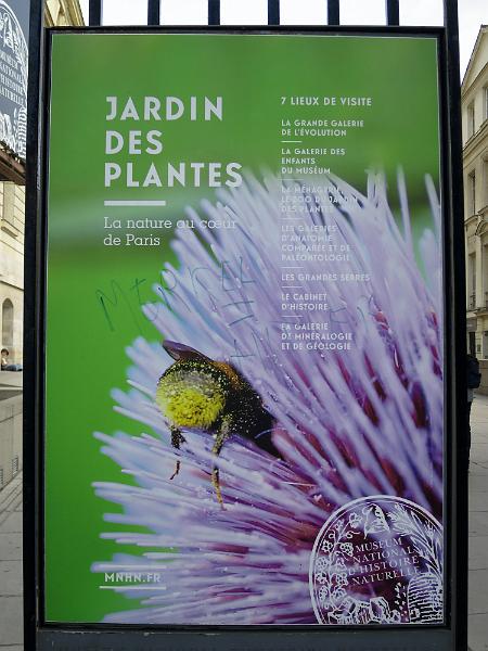 Paris_573.JPG