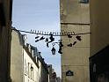 Paris_564
