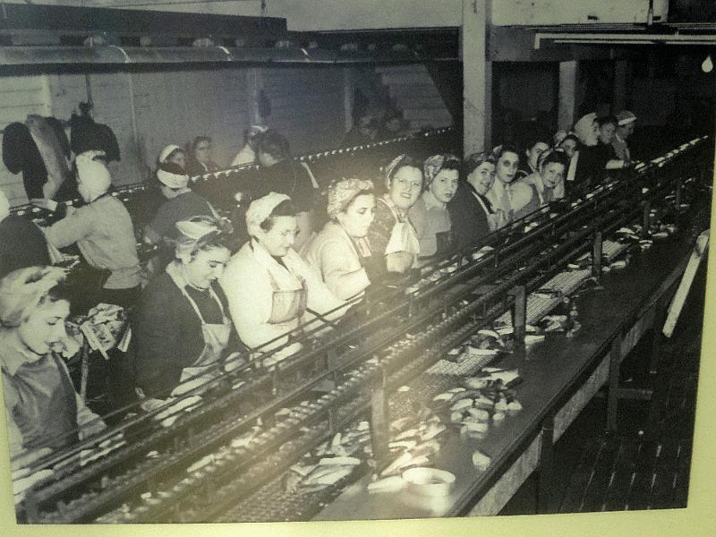 CA_(86).JPG