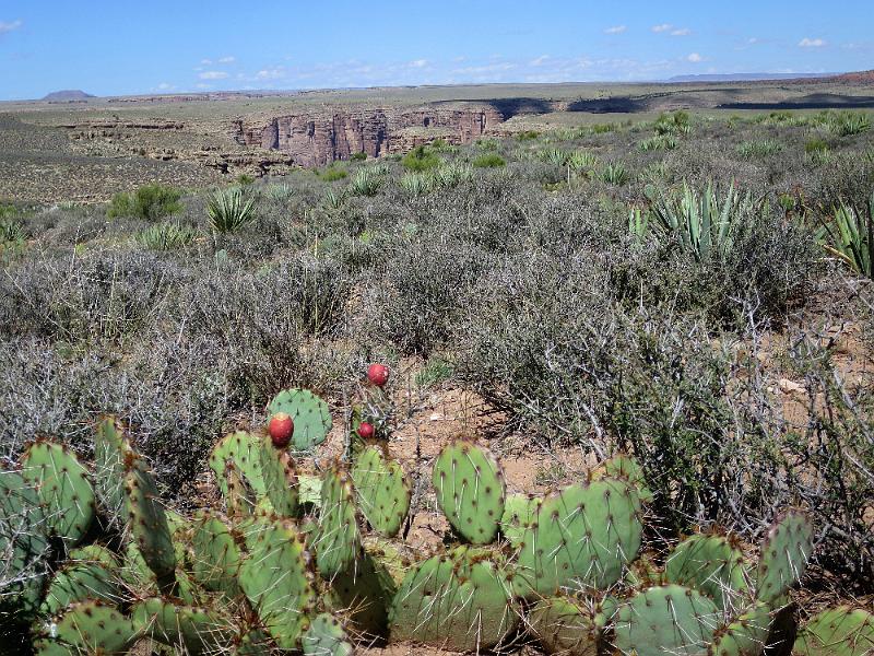 SW_(119).JPG