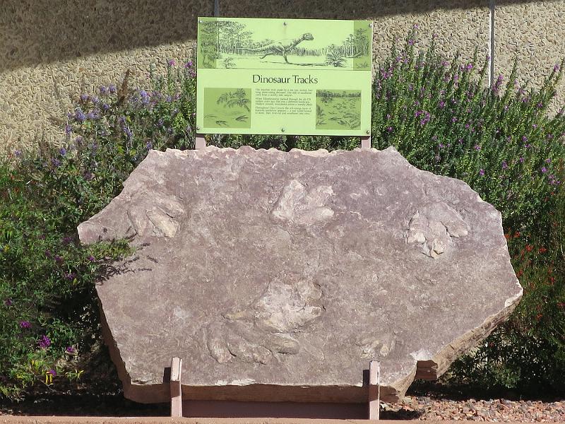SW_(204).JPG